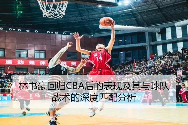 林书豪回归CBA后的表现及其与球队战术的深度匹配分析（LD SPORTS）