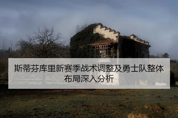 斯蒂芬库里新赛季战术调整及勇士队整体布局深入分析