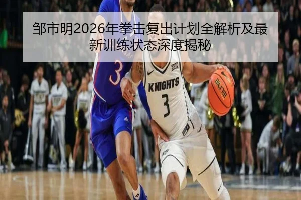 邹市明2026年拳击复出计划全解析及最新训练状态深度揭秘（LD SPORTS）